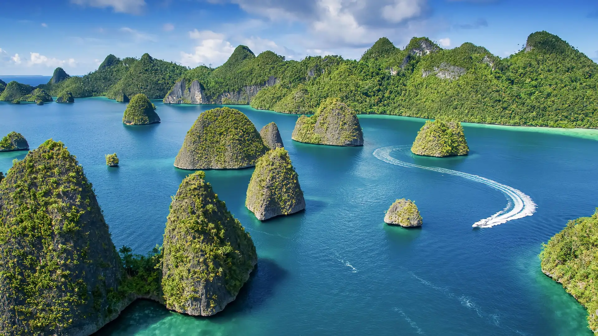 Pulau Kri Raja Ampat: Surga Snorkeling dengan Keanekaragaman Hayati Tertinggi di Dunia